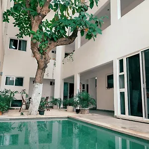 https://cozy-studios-zazil-ha.tulum-hotels.net