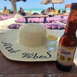 https://apt-tucasaenplaya.allrivieramayahotels.com